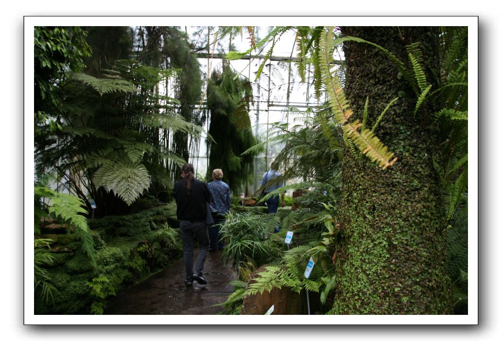 Royal Botanic Garden, Edinburgh,  Scotland 830