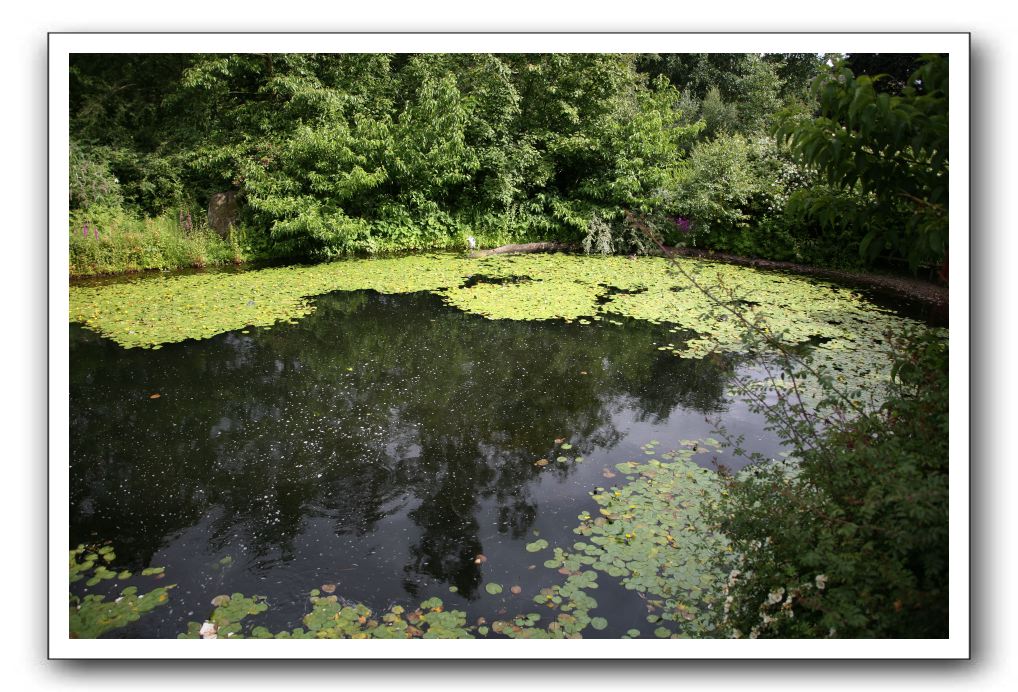 Royal Botanic Garden, Edinburgh,  Scotland 555