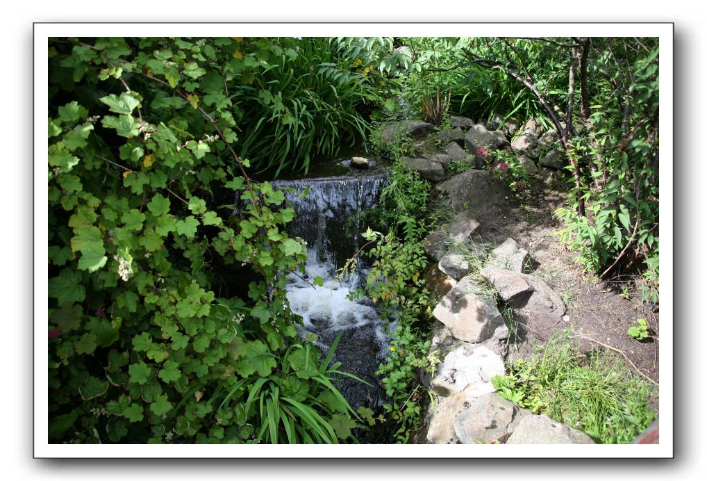 Royal Botanic Garden, Edinburgh,  Scotland 556