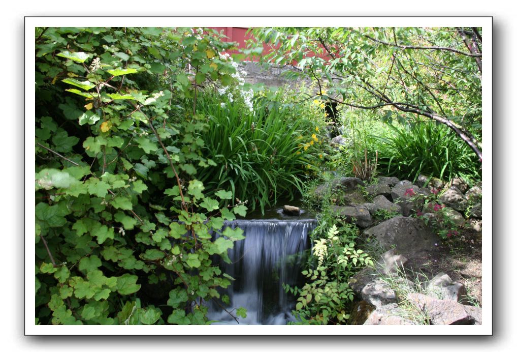 Royal Botanic Garden, Edinburgh,  Scotland 557