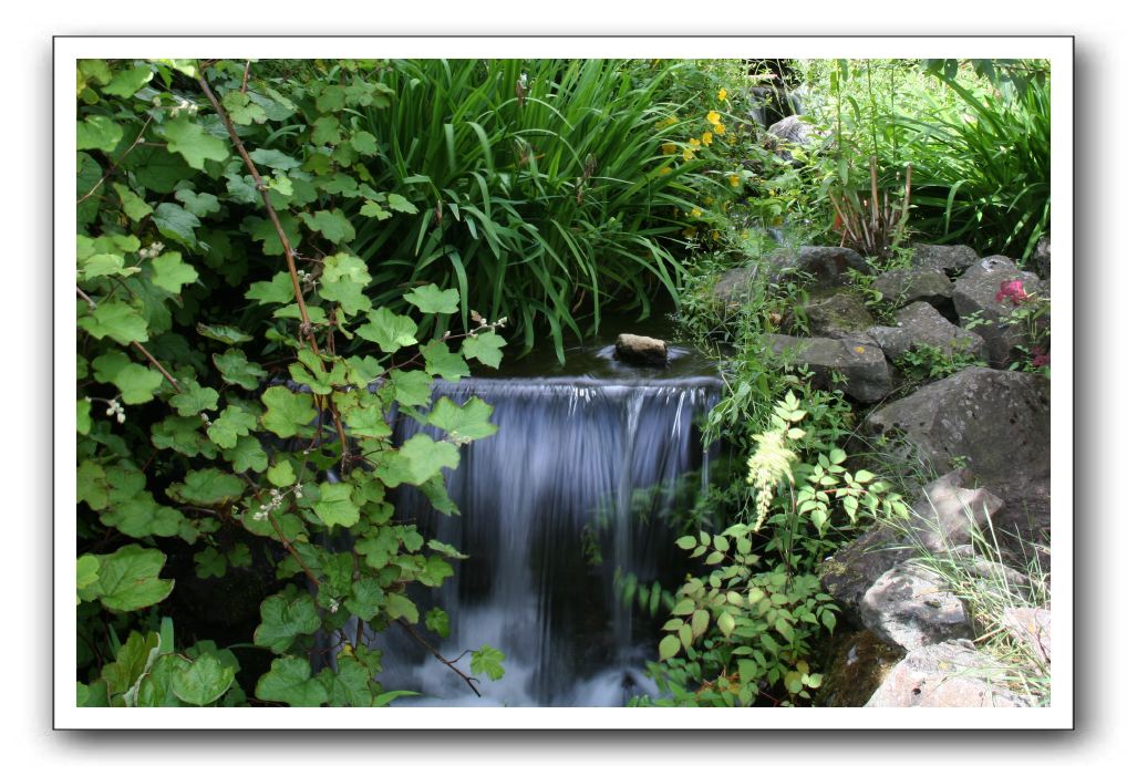 Royal Botanic Garden, Edinburgh,  Scotland 558