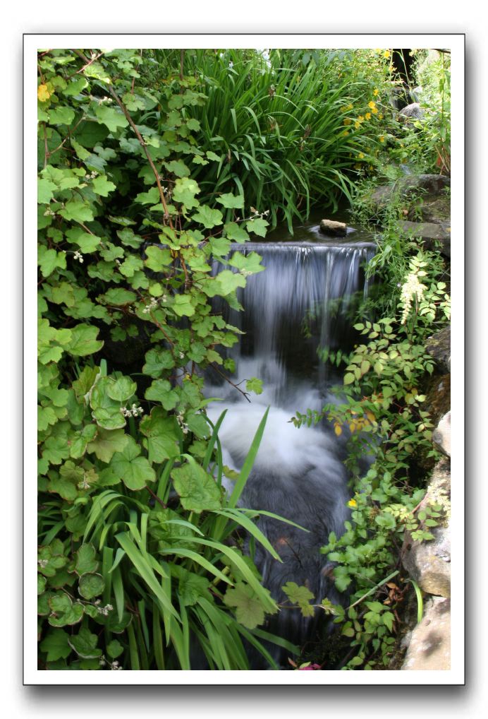 Royal Botanic Garden, Edinburgh,  Scotland 559