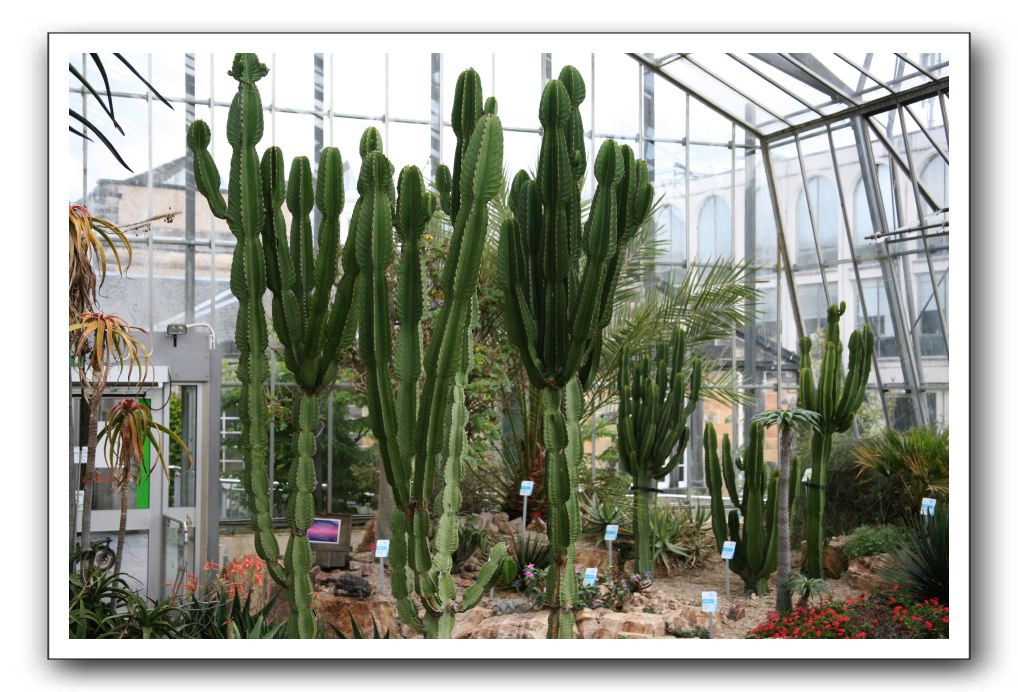 Royal Botanic Garden, Edinburgh,  Scotland 904