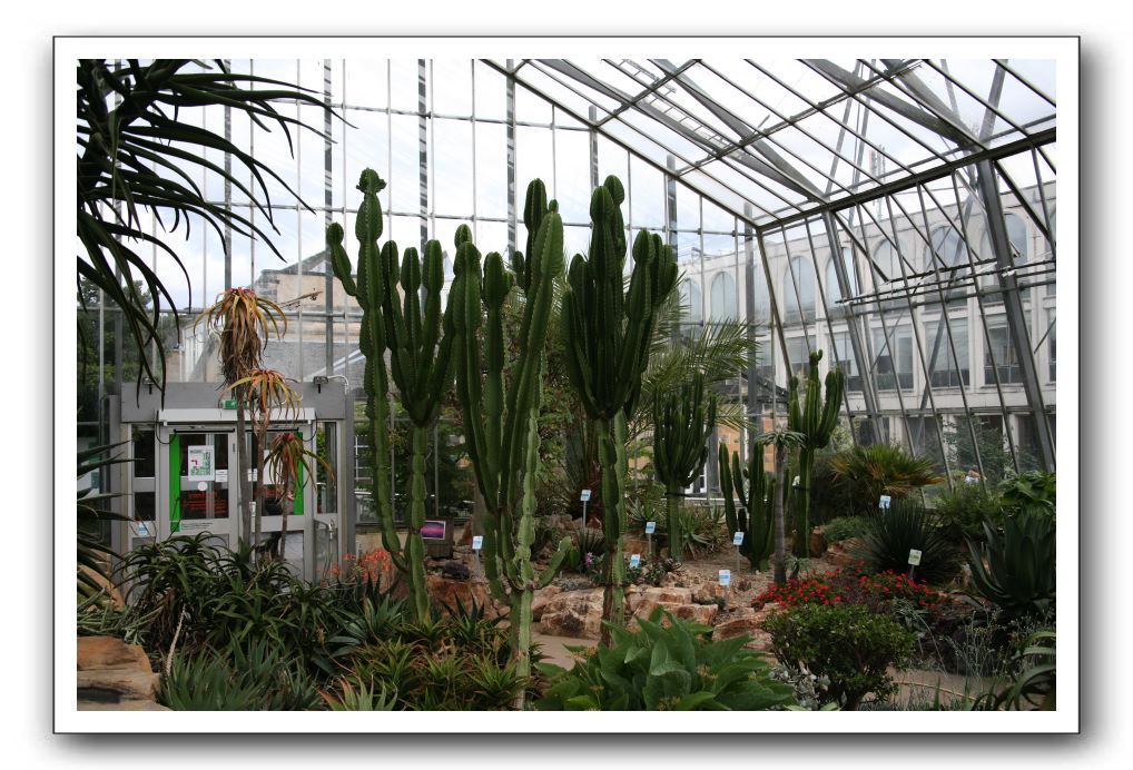 Royal Botanic Garden, Edinburgh,  Scotland 906