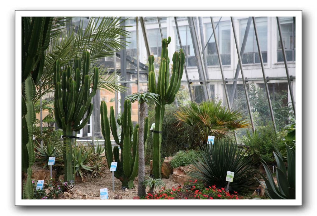 Royal Botanic Garden, Edinburgh,  Scotland 912