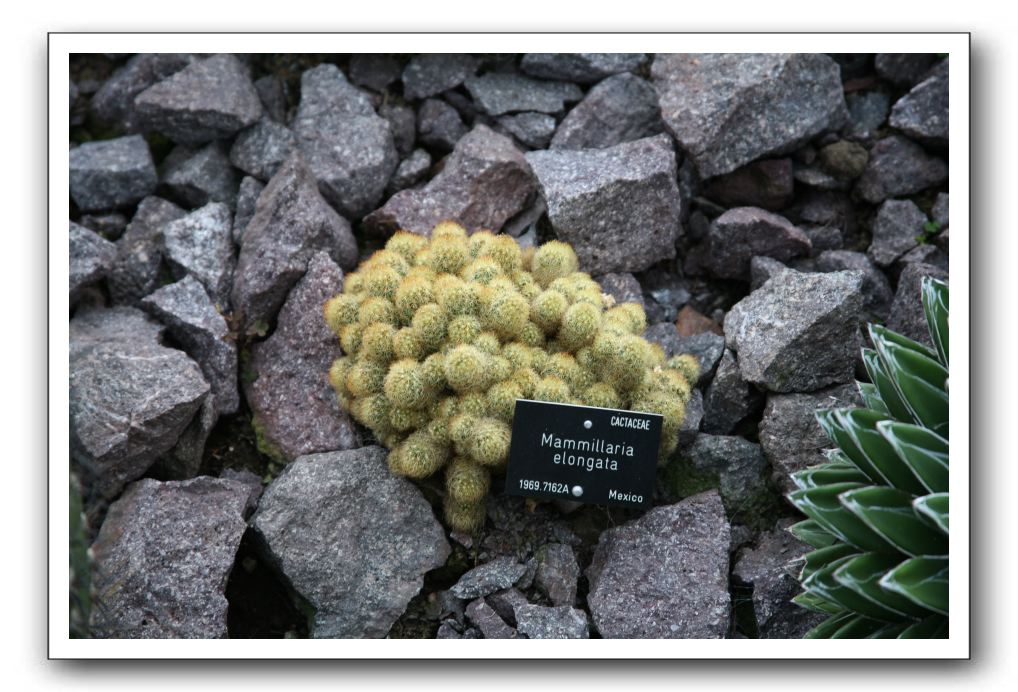 Royal Botanic Garden, Edinburgh,  Scotland 916