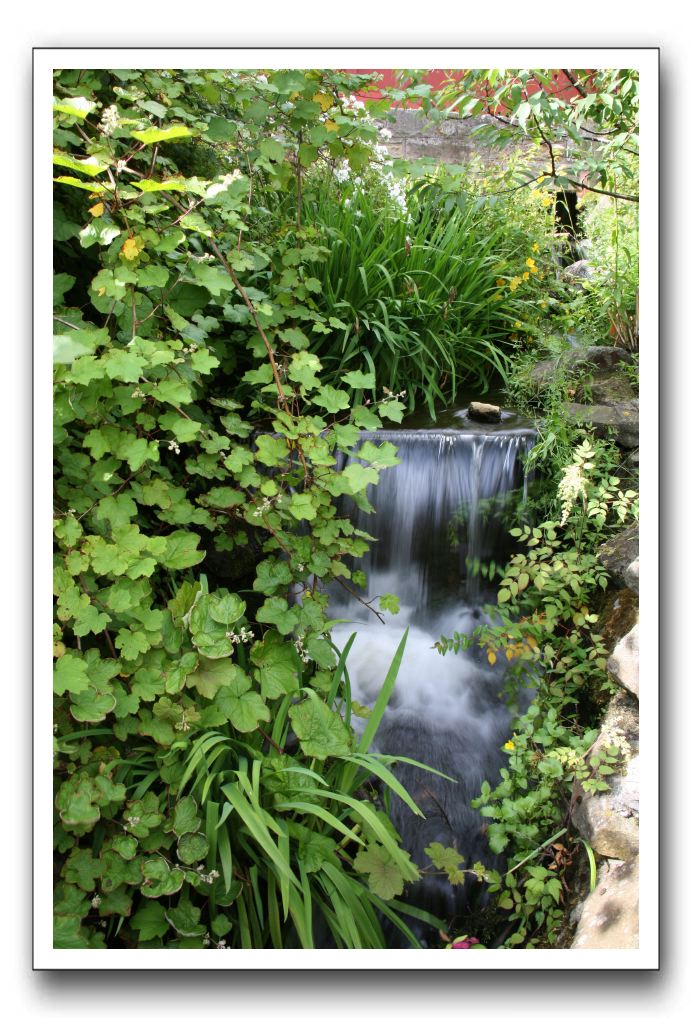 Royal Botanic Garden, Edinburgh,  Scotland 561