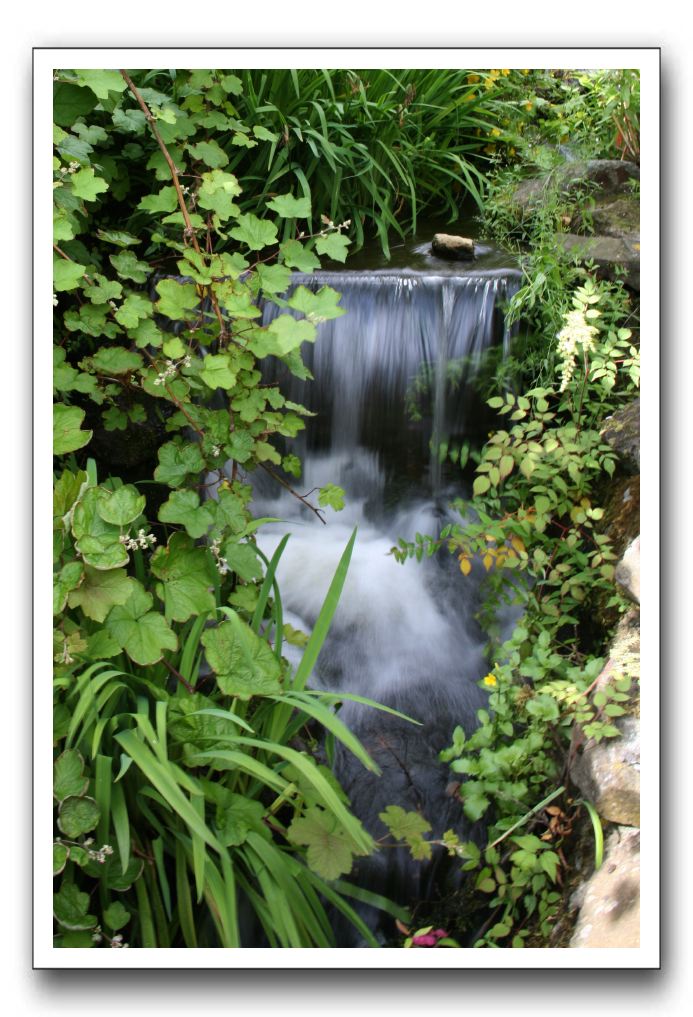 Royal Botanic Garden, Edinburgh,  Scotland 562