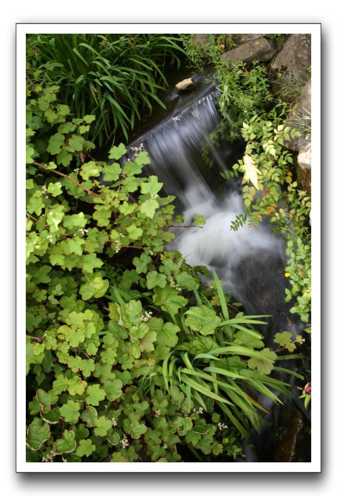 Royal Botanic Garden, Edinburgh,  Scotland 563