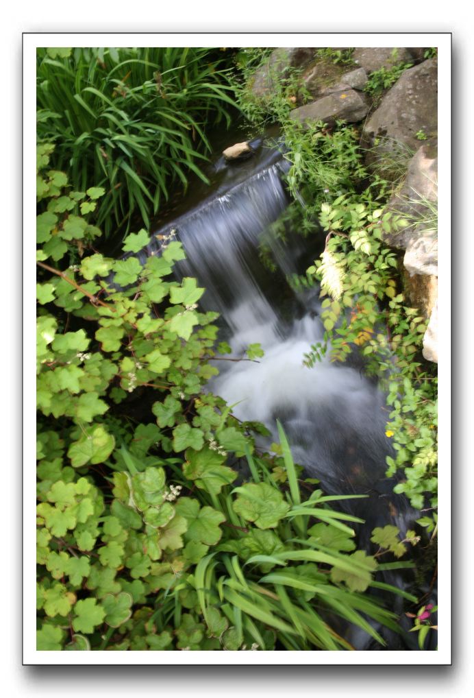 Royal Botanic Garden, Edinburgh,  Scotland 564