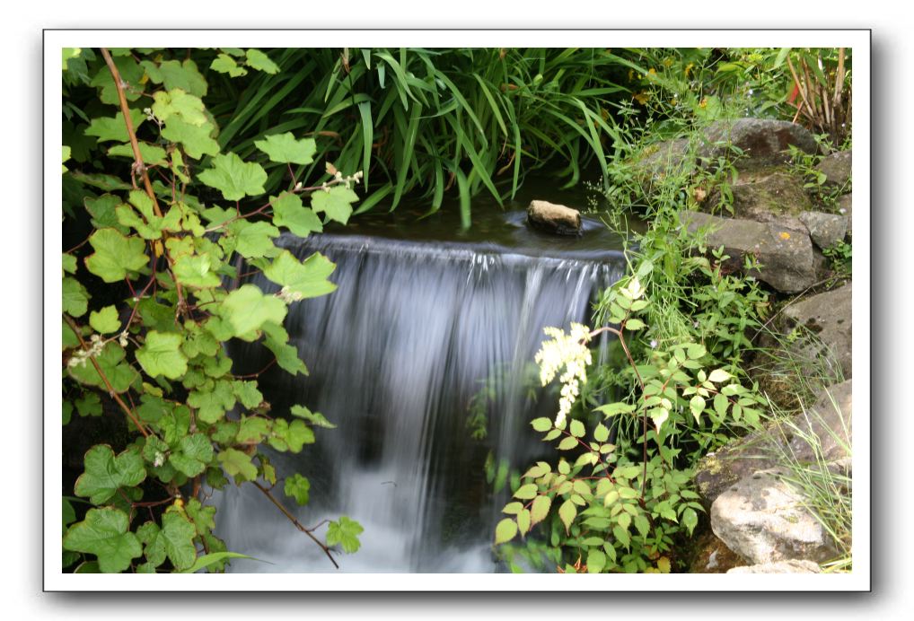 Royal Botanic Garden, Edinburgh,  Scotland 568