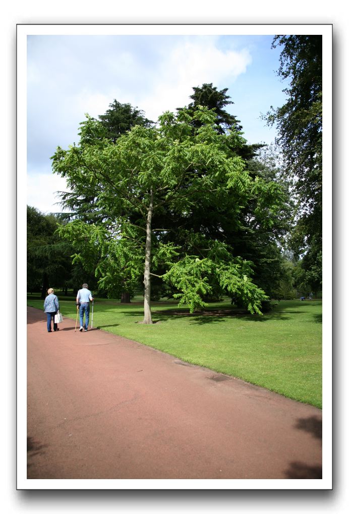 Royal Botanic Garden, Edinburgh,  Scotland 589