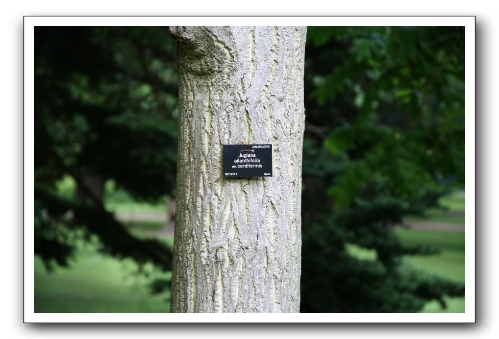 Royal Botanic Garden, Edinburgh,  Scotland 590