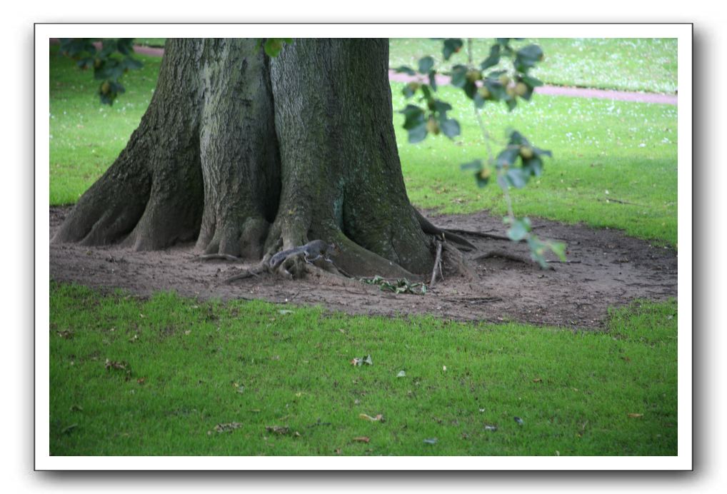 Royal Botanic Garden, Edinburgh,  Scotland 596