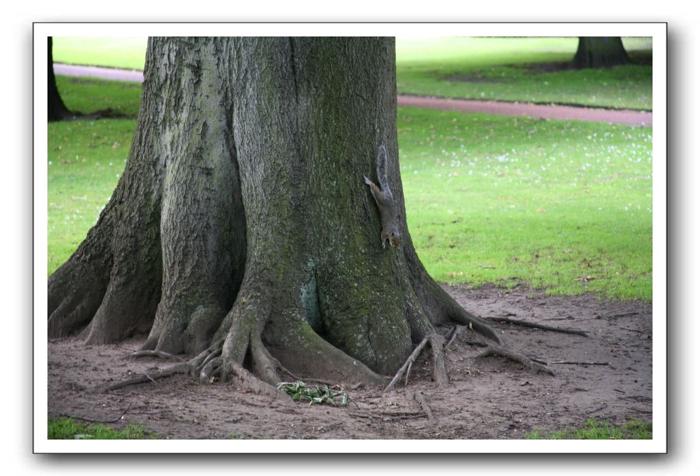 Royal Botanic Garden, Edinburgh,  Scotland 611