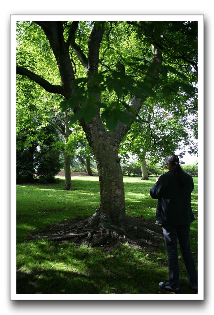 Royal Botanic Garden, Edinburgh,  Scotland 621