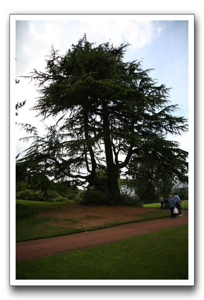 Royal Botanic Garden, Edinburgh,  Scotland 662