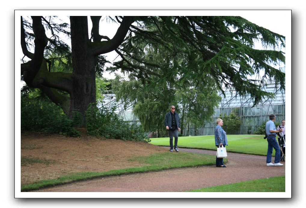 Royal Botanic Garden, Edinburgh,  Scotland 663