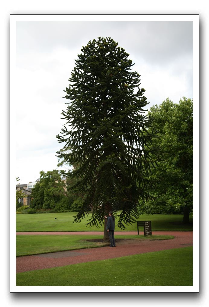 Royal Botanic Garden, Edinburgh,  Scotland 668