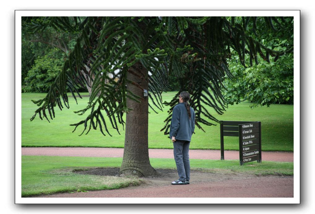 Royal Botanic Garden, Edinburgh,  Scotland 669