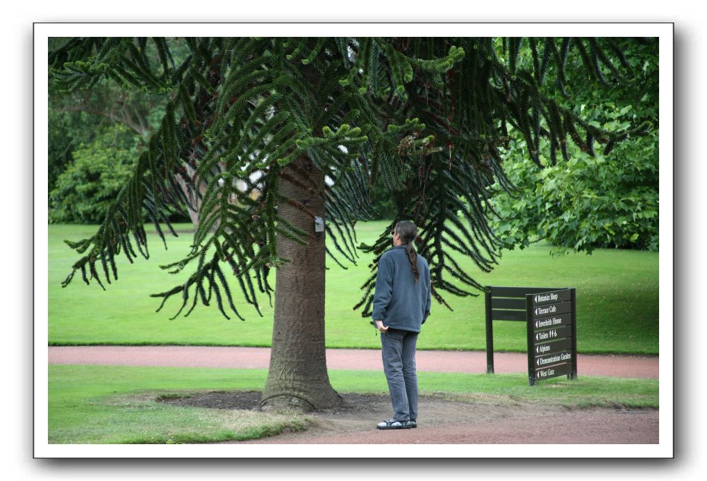 Royal Botanic Garden, Edinburgh,  Scotland 670