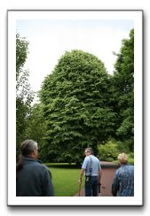 Royal Botanic Garden, Edinburgh,  Scotland 547