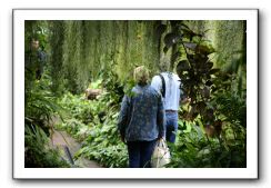 Royal Botanic Garden, Edinburgh,  Scotland 769