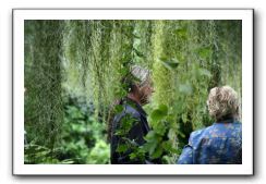 Royal Botanic Garden, Edinburgh,  Scotland 772