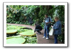 Royal Botanic Garden, Edinburgh,  Scotland 784