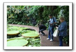 Royal Botanic Garden, Edinburgh,  Scotland 785