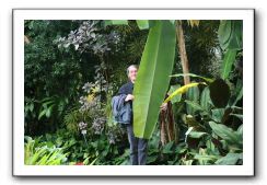 Royal Botanic Garden, Edinburgh,  Scotland 789