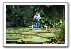 Royal Botanic Garden, Edinburgh,  Scotland 799