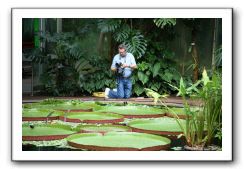 Royal Botanic Garden, Edinburgh,  Scotland 800