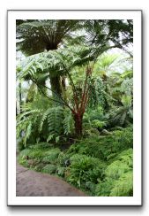 Royal Botanic Garden, Edinburgh,  Scotland 818