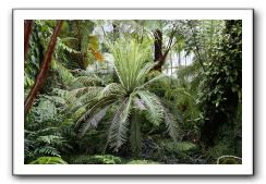 Royal Botanic Garden, Edinburgh,  Scotland 822