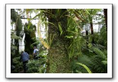 Royal Botanic Garden, Edinburgh,  Scotland 829