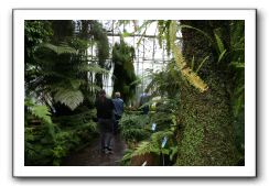 Royal Botanic Garden, Edinburgh,  Scotland 830