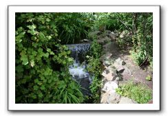 Royal Botanic Garden, Edinburgh,  Scotland 556