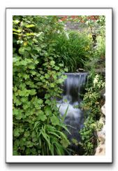 Royal Botanic Garden, Edinburgh,  Scotland 560