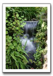 Royal Botanic Garden, Edinburgh,  Scotland 562