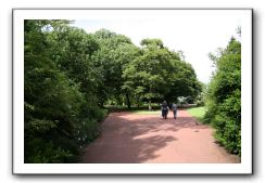 Royal Botanic Garden, Edinburgh,  Scotland 581