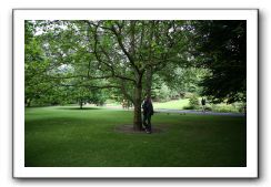 Royal Botanic Garden, Edinburgh,  Scotland 587