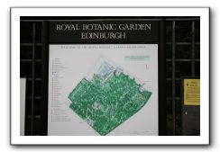 Royal Botanic Garden, Edinburgh,  Scotland 537