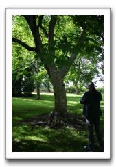 Royal Botanic Garden, Edinburgh,  Scotland 621