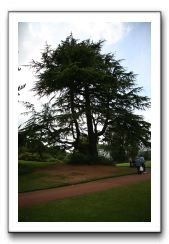 Royal Botanic Garden, Edinburgh,  Scotland 662