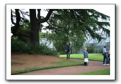 Royal Botanic Garden, Edinburgh,  Scotland 663