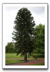 Royal Botanic Garden, Edinburgh,  Scotland 666