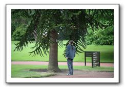 Royal Botanic Garden, Edinburgh,  Scotland 670