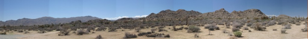 Joshua-Tree-01.jpg