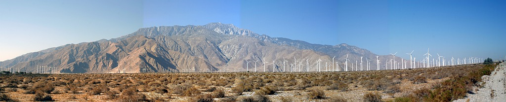 field-of-windmills.jpg